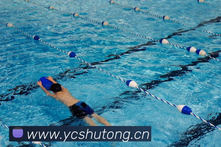 多媒体互动体验